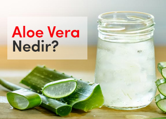 Aloe Vera Nedir ve Faydalar Nelerdir? | Dermo Blog