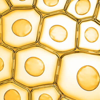 sun-active-defense
