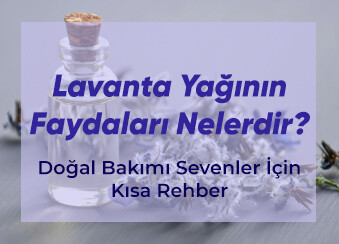 Lavanta Yağının Faydaları Nelerdir ? Doğal Bakımı Sevenler İçin Kısa Rehber