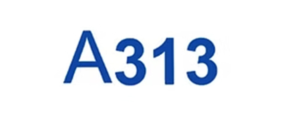 A313