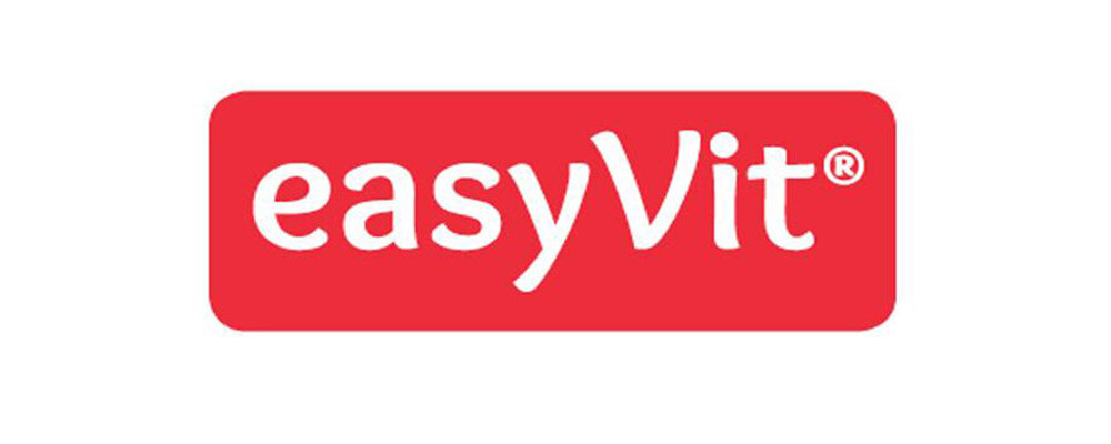 EasyVit