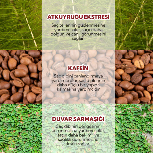 Alls Biocosmetics Organik Dökülme Karşıtı Prebiyotik Şampuan 100 ml - 5