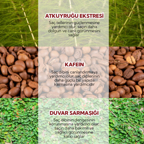 Alls Biocosmetics Organik Besleyici Prebiyotik Saç Kremi 350 ml - 7