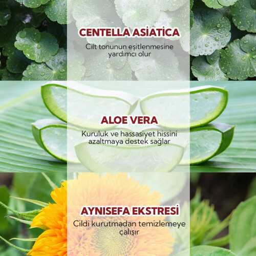 Alls Biocosmetics Organik CicaVera Prebiyotik Temizleme Jeli 50 ml (Promosyon Ürünü) - 4