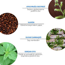 Alls Biocosmetics Organik Dökülme Karşıtı Prebiyotik Şampuan 100 ml (Promosyon Ürünü) - 5