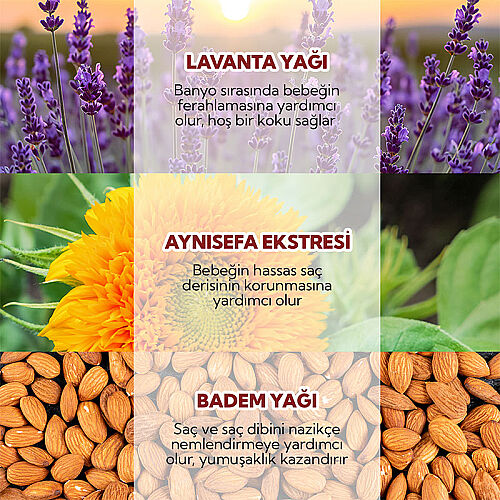 Alls Biocosmetics Organik Lavantalı Bebek Şampuanı 350 ml - 4