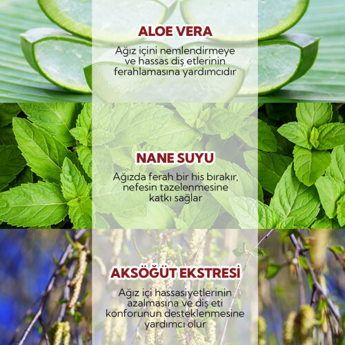 Alls Biocosmetics Organik Sertifikalı Konsantre Ağız Çalkalama Suyu 100 ml - 6