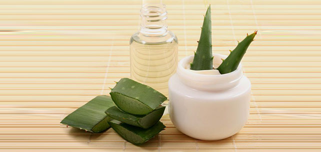 Aloe Veranın Cilde Faydaları