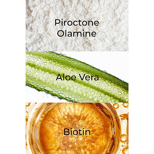 And You Detox Refresh Tuzsuz Kepek Karşıtı Şampuan – Tüm Saç Tipleri İçin Arındırıcı Bakım 400 ml - 4