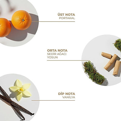 And You Forest Glow Vücut Spreyi 100 ml - And You (1)