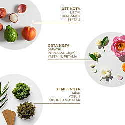 And You Gingham Fresh Vücut Spreyi 100 ml - 2