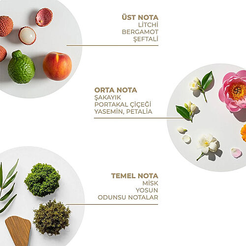 And You Gingham Fresh Vücut Spreyi 100 ml - And You (1)