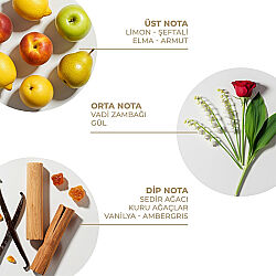 And You Spring Secret Vücut Spreyi 100 ml - 2