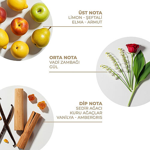 And You Spring Secret Vücut Spreyi 100 ml - And You (1)