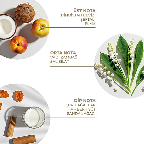 And You Sweet Tropical Dream Spreyi 100 ml - And You (1)