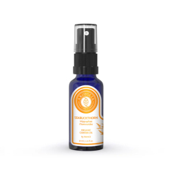 Arotolia Kır İğdesi Yağı 30 ml - 1