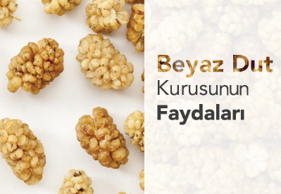 Beyaz Dut Kurusunun Faydaları