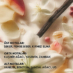 Cream Co. Aura Parfüm EDP 50 ml - 4