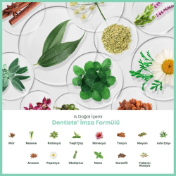 Dentiste Repaire Onarıcı Diş Macunu 70 gr - 4