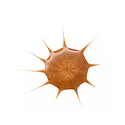 Essence Drop Of Sunshine Bronzing Drops 25 ml - 5