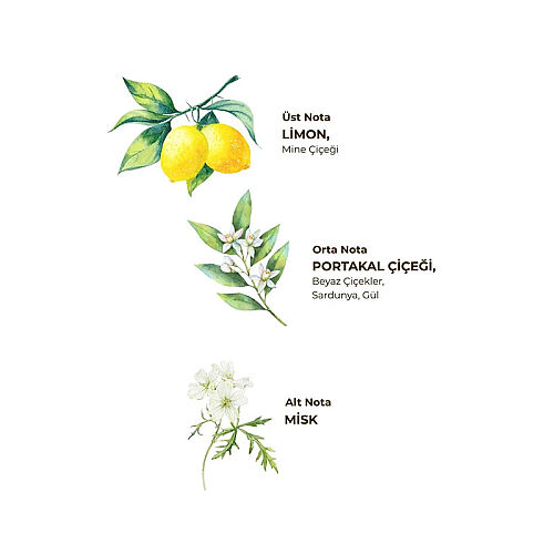 Eyüp Sabri Tuncer Verbena ve Zinde Limon Kolonyası 400 ml - Pet Şişe - Eyüp Sabri Tuncer (1)