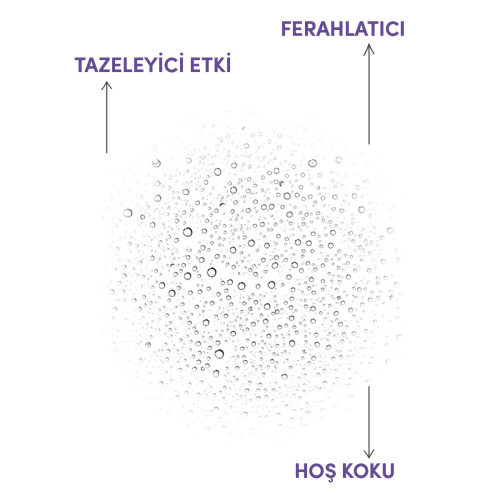 From Natura Aromatik Lavanta Kolonyası 100 ml - 3