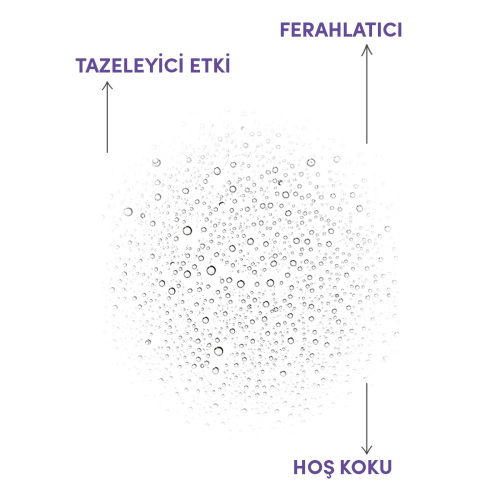 From Natura Aromatik Lavanta Kolonyası 50 ml - 3