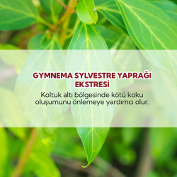 From Natura Erkekler İçin Terleme Karşıtı Roll-on Deodorant 75 ml - 4