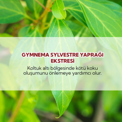 From Natura Kadınlar İçin Terleme Önleyici Roll-on Deodorant 75 ml - 4