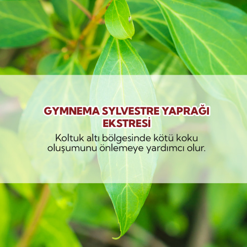 From Natura Kadınlar İçin Terleme Önleyici Roll-on Deodorant 75 ml - 4