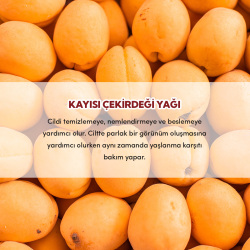 From Natura Organik Kayısı Çekirdeği Yağı 30 ml - 4