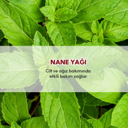 From Natura Organik Uçucu Nane Yağı 18 ml - 4