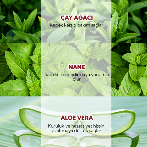 From Natura Tea Tree Mint Kepek Karşıtı Şampuan 100 ml (Promosyon Ürünü) - 4