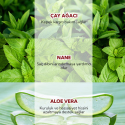 From Natura Tea Tree Mint Kepek Karşıtı Şampuan 350 ml - 4