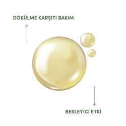 From Natura Uçucu Biberiye Yağı 30 ml - 3