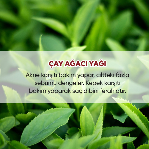 From Natura Uçucu Çay Ağacı Yağı 18 ml - 4