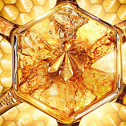 Guerlain Abeille Royale Honey Treatment Day Cream 50 ml - 5