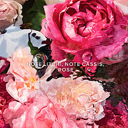 Guerlain Aqua Allegoria Rosa Rossa El Kremi 50 ml - 5