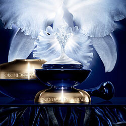 Guerlain Orchidee Imperiale Eyes Cream 20 ml - 4
