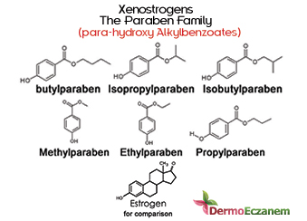 Kozmetikte Kullanılan Koruyucu Maddeler