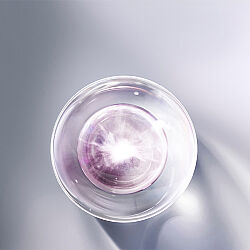La Prairie Platinum Rare Cellular Life-Lotion 115 ml - 3