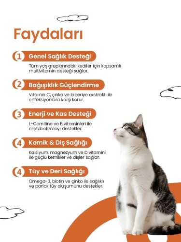 Livepet Multivitamin For Cats 21 g - 3