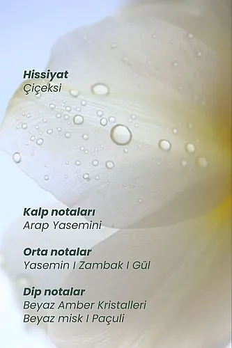 Matsu MYTH Hair Perfume 10 ml - Matsu (1)