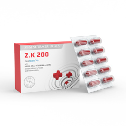 MFM NUTRACEUTICALS Z.K 200 Amerikan Ginsengi İçeren Takviye Edici Gıda 30 Kapsül - 2