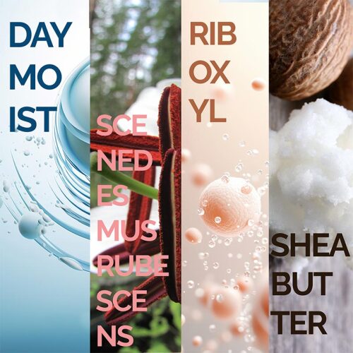 Mineaderm Renewal Intense Moisturizer Cream SPF20 50 ml - 5