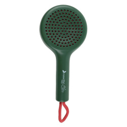 Nascita Yeni Yıl Aç-Kapa Saç Fırçası Yeşil 77 - 2