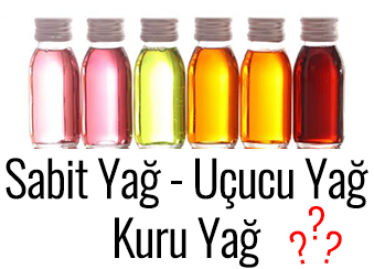 Sabit Yağ, Uçucu Yağ, Kuru Yağ Nedir?
