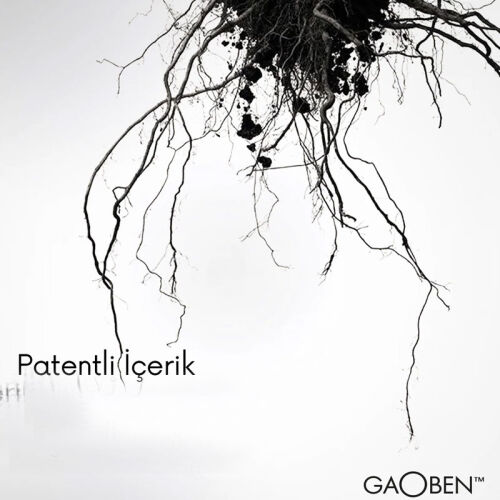 Shayen Paris Gaoben Doğal Krem 50 ml - 4