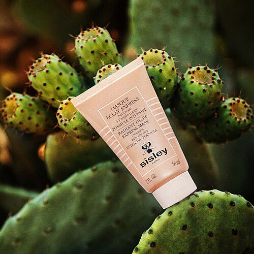 Sisley Masque Eclat Express Maske 60 ml - Sisley (1)