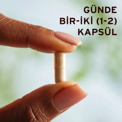 Solgar Ginkgo Biloba Leaf Extract 60 Kapsül - 3